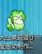 大白菜4.6 U盘启动项制作 （制作PE系统）