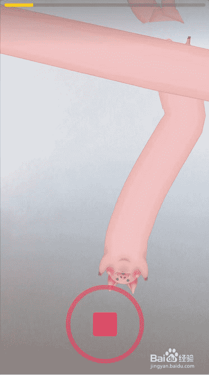 抖音AR畫豬怎么玩