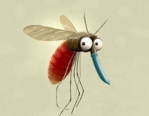 我家在30层楼，为什么还有蚊子？蚊子最高能飞多少米？(图2)