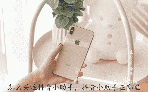 怎么關(guān)注抖音小助手，抖音小助手在哪里(圖1)