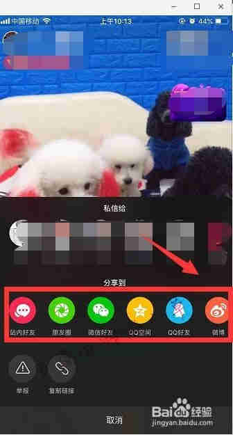 抖音怎么分享直播 抖音直播間怎么分享(圖1)