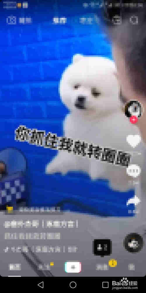 抖音如何更改密碼