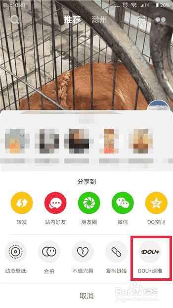 抖音dou+是什么？抖音dou+怎么使用？
