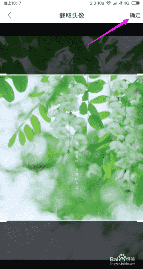 如何更换熊猫直播头像？