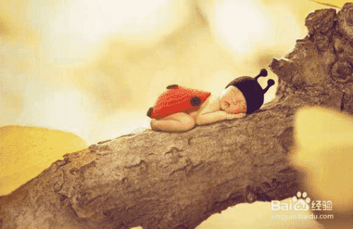 孕婴童摄影如何做活动